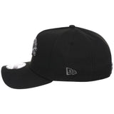 Detroit Lions NFL Liquid Titanium New Era 9FORTY