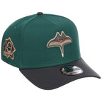 Tampa Bay Rays MLB Emerald Graphite New Era 9FORTY