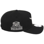 Philadelphia Eagles NFL Liquid Titanium New Era 9FORTY