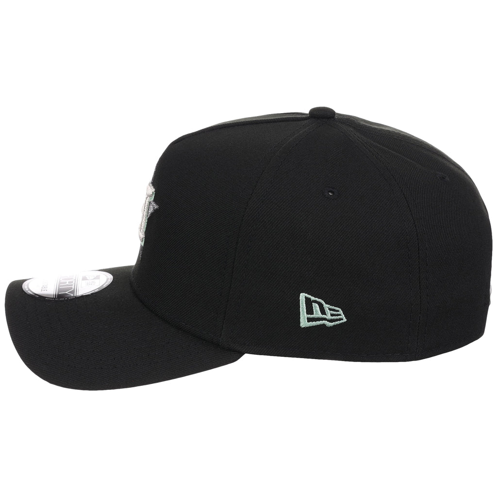 Houston Astros MLB Alpine Snow New Era 9FORTY A-Frame