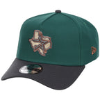 Houston Astros MLB Emerald Graphite New Era 9FORTY