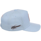 Cleveland Indians MLB Mitchell & Ness Cherry Blossom Pro Pinch