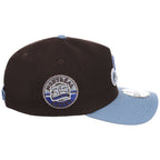 Montreal Expos MLB Driftwood Fade New Era 9FORTY A-Frame