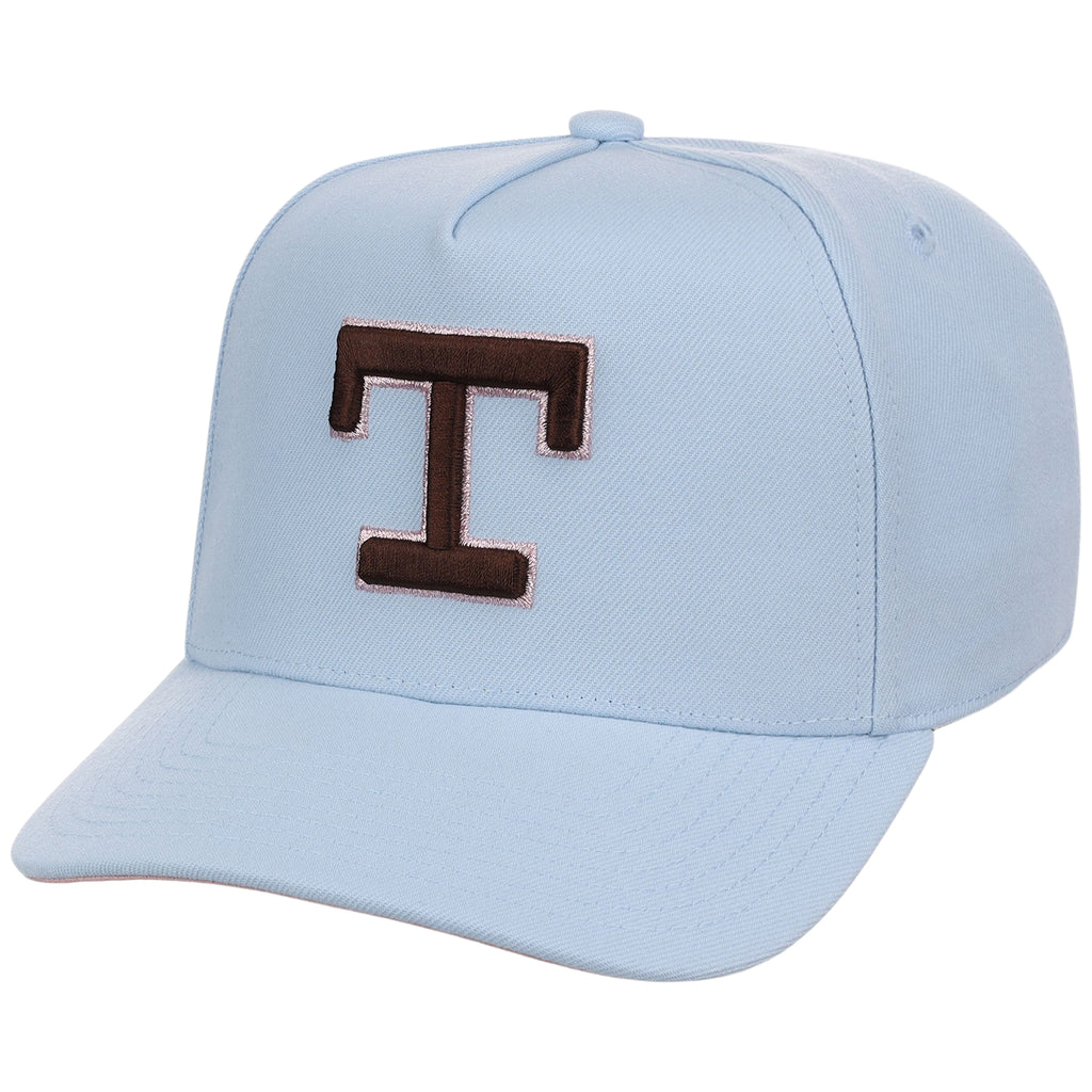 Texas Rangers MLB Mitchell & Ness Cherry Blossom Pro Pinch