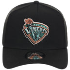 New York Liberty Hardwood Classics New Era 9FORTY A-Frame