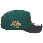 Arizona Diamondbacks MLB Emerald Graphite New Era 9FORTY