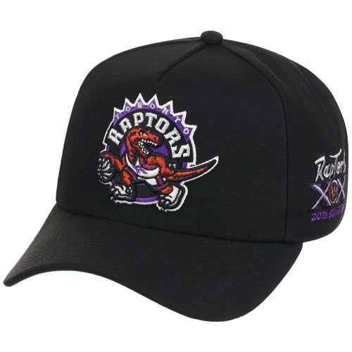 Toronto Raptors NBA Heavy Metal HWC Mitchell & Ness Pro Pinch
