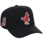 Memphis Redbirds Field Club Minor League Monday Black OTC A-Frame