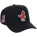 Memphis Redbirds Field Club Minor League Monday Black OTC A-Frame