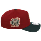 New York Mets MLB Terra Verde New Era 9FORTY
