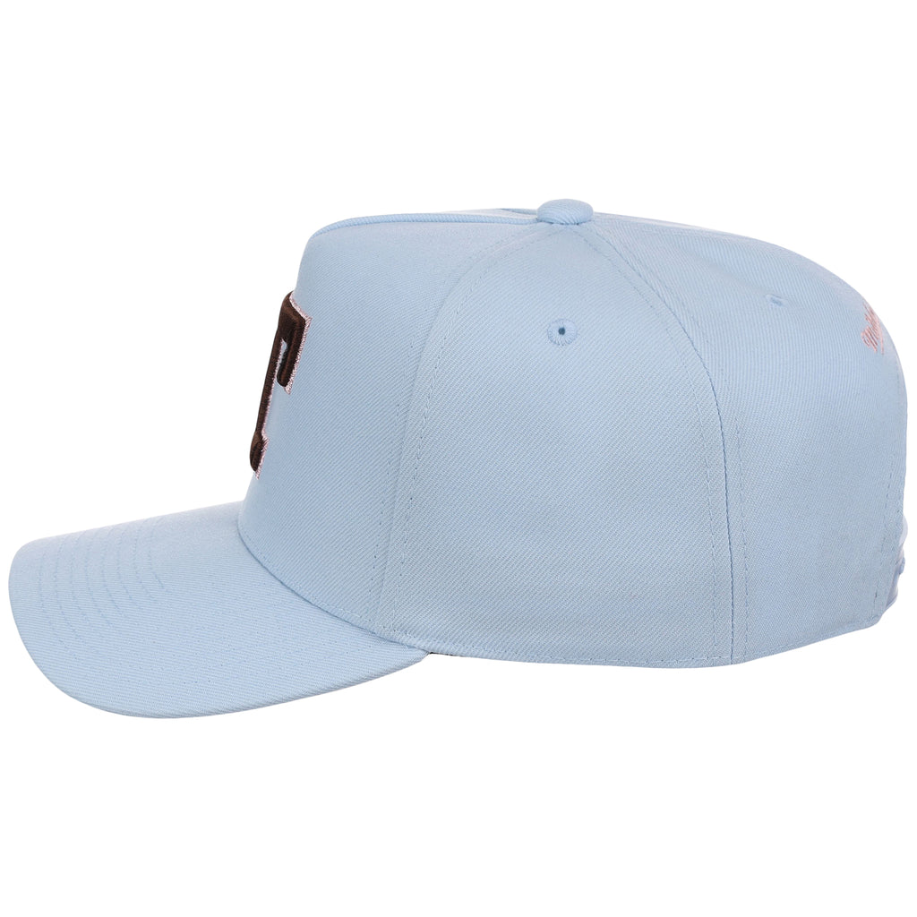 Texas Rangers MLB Mitchell & Ness Cherry Blossom Pro Pinch