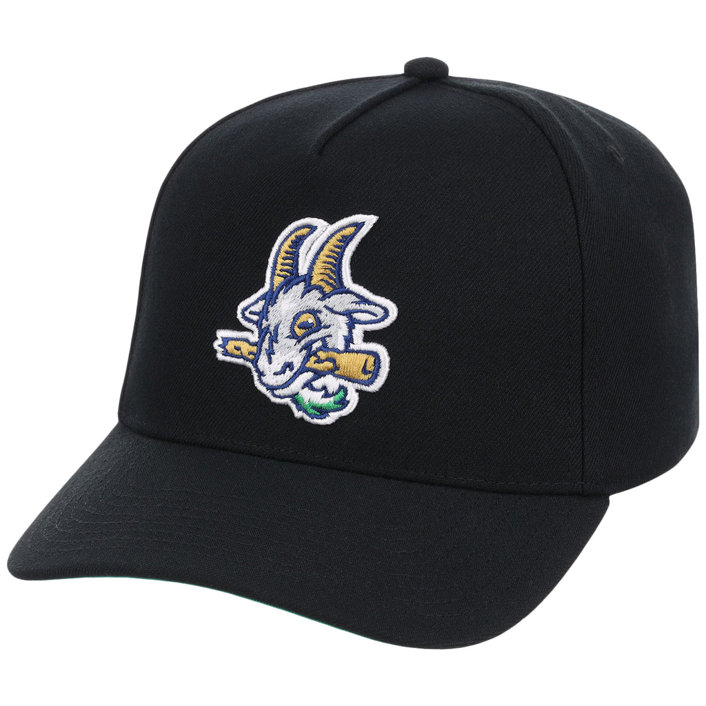 Hartford Yard Goats Field Club Minor League Monday Black OTC A-Frame