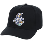 Hartford Yard Goats Field Club Minor League Monday Black OTC A-Frame
