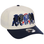 New England Patriots NFL Seismic New Era 9FORTY A-Frame