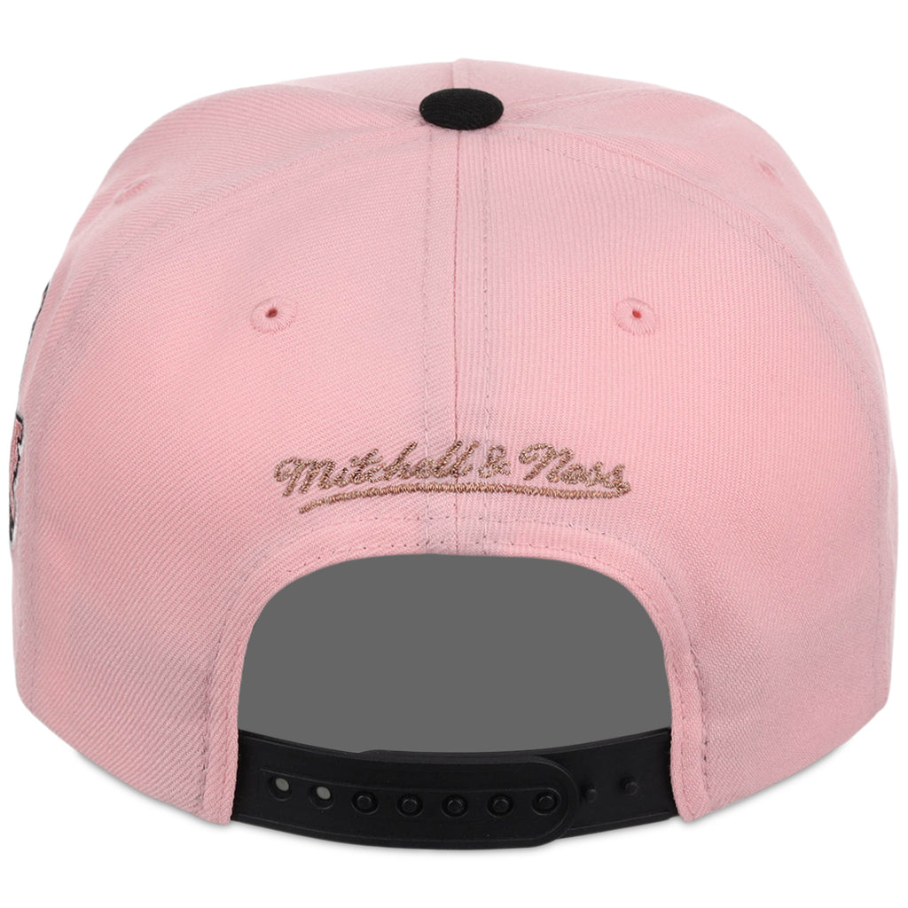 New York Yankees MLB Pink Mink Mitchell & Ness Pro Pinch