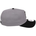 Boston Red Sox MLB Gray x Black FASHION CORE New Era 9FORTY A-Frame
