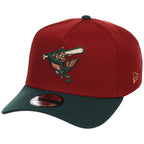 Baltimore Orioles MLB Terra Verde New Era 9FORTY