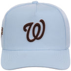 Washington Nationals MLB Mitchell & Ness Cherry Blossom Pro Pinch