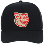 Lehigh Valley Ironpigs Field Club Minor League Monday Black OTC A-Frame