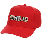 Fresno Grizzlies Field Club Minor League Monday OTC A-Frame