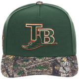 Tampa Bay Rays MLB Mitchell & Ness Copper Trees Pro Pinch