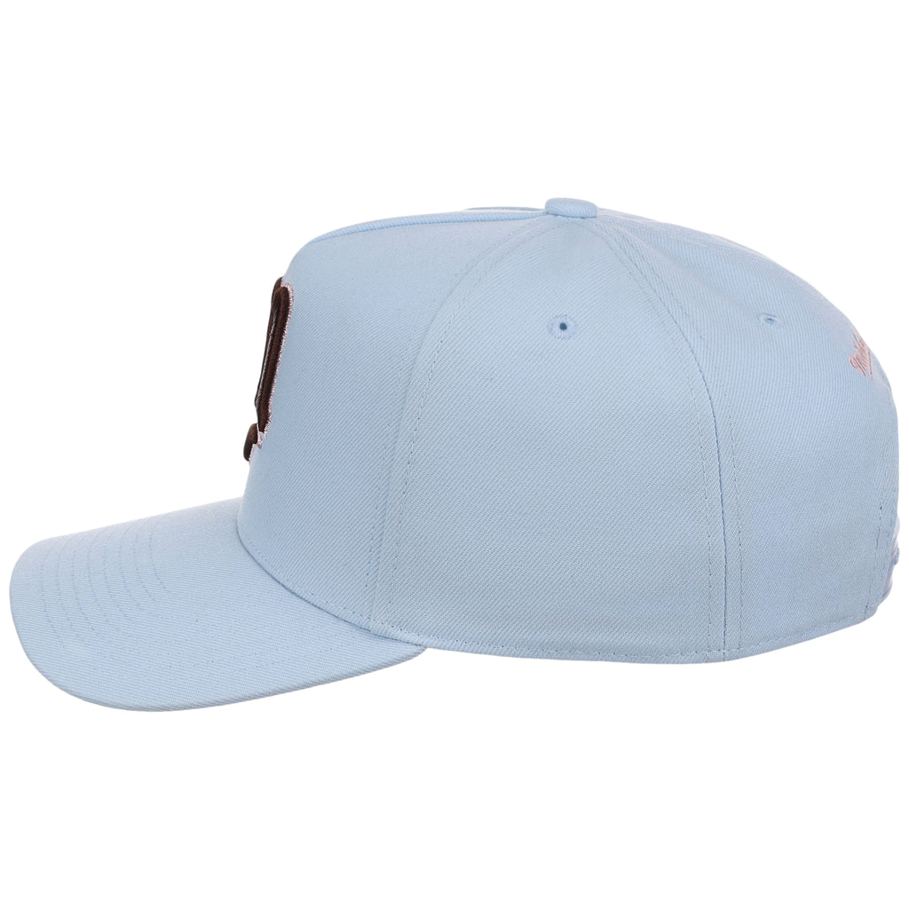 Minnesota Twins MLB Mitchell & Ness Cherry Blossom Pro Pinch