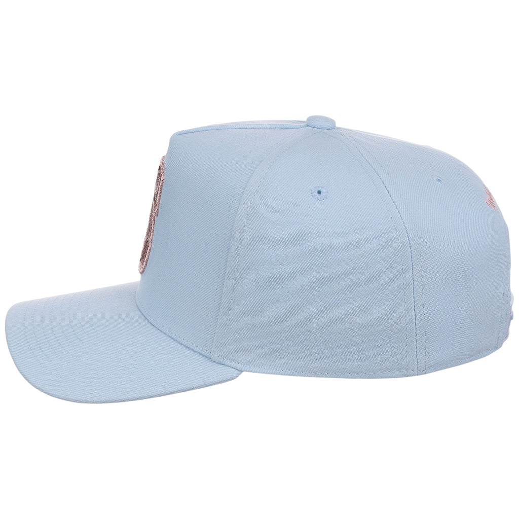 Seattle Mariners MLB Mitchell & Ness Cherry Blossom Pro Pinch