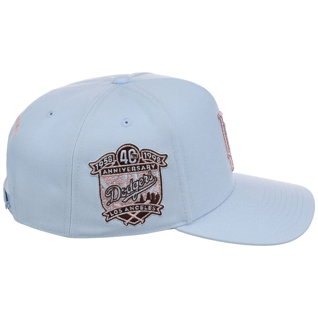 Los Angeles Dodgers MLB Mitchell & Ness Cherry Blossom Pro Pinch