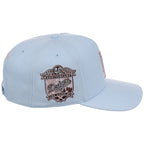 Los Angeles Dodgers MLB Mitchell & Ness Cherry Blossom Pro Pinch