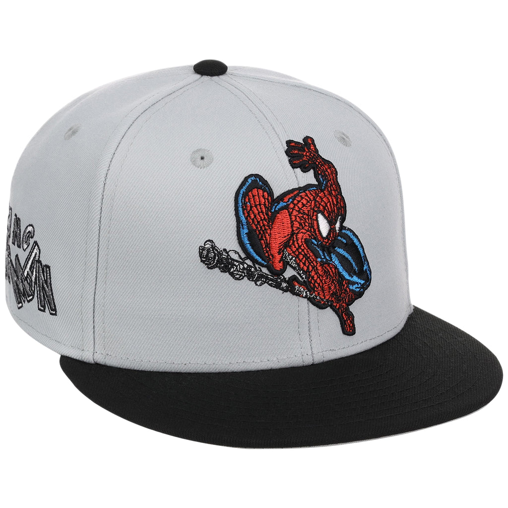 The Amazing Spider-Man' (Gray/Black) - The Spider-Man vs. Hulk Collection
