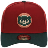 Chicago Cubs MLB Terra Verde New Era 9FORTY