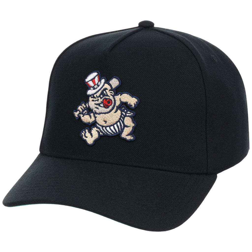 Scranton/Wilkes-Barre Railriders Field Club Minor League Monday Black OTC A-Frame