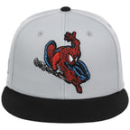 The Amazing Spider-Man' (Gray/Black) - The Spider-Man vs. Hulk Collection