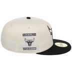Chicago Bulls Chicago Sole New Era 59FIFTY (Chrome/Black)