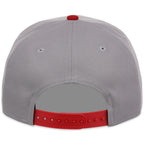 St. Louis Cardinals MLB Gray OTC FASHION CORE New Era 9FORTY A-Frame