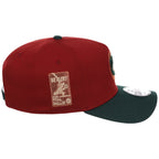 Chicago Cubs MLB Terra Verde New Era 9FORTY