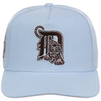 Detroit Tigers MLB Mitchell & Ness Cherry Blossom Pro Pinch