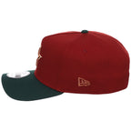 Houston Astros MLB Terra Verde New Era 9FORTY