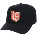 Lehigh Valley Ironpigs Field Club Minor League Monday Black OTC A-Frame