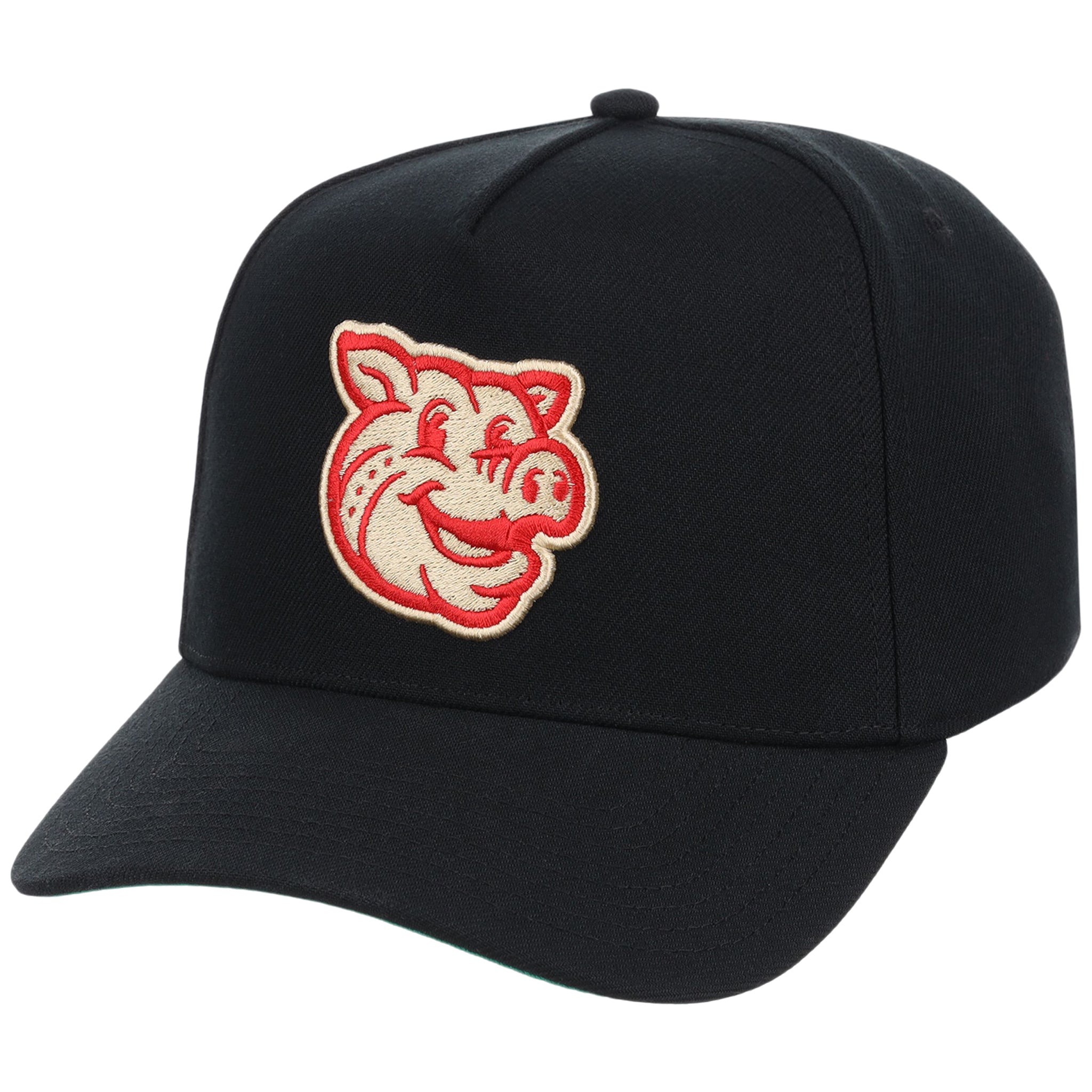 Lehigh Valley Ironpigs Field Club Minor League Monday Black OTC A-Frame
