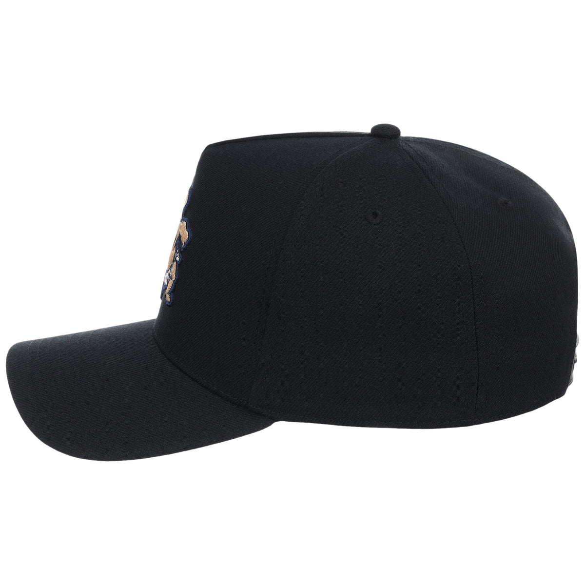 Scranton/Wilkes-Barre Railriders Field Club Minor League Monday Black OTC A-Frame