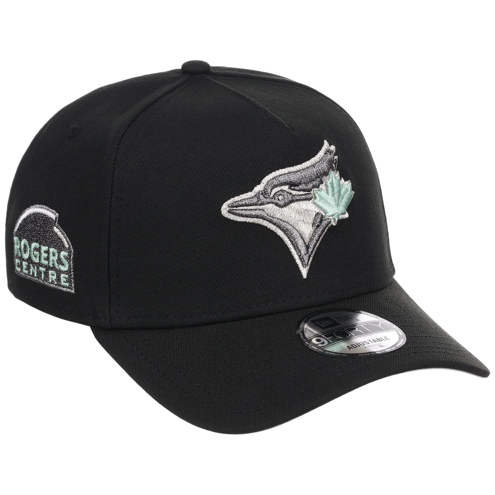 Toronto Blue Jays MLB Alpine Snow New Era 9FORTY A-Frame