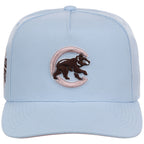 Chicago Cubs MLB Mitchell & Ness Cherry Blossom Pro Pinch