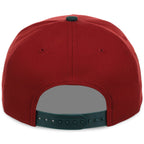 Tampa Bay Rays MLB Terra Verde New Era 9FORTY