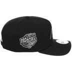 Carolina Panthers NFL Liquid Titanium New Era 9FORTY