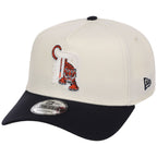 Detroit Tigers MLB Chrome OTC Pop FASHION CORE New Era 9FORTY A-Frame