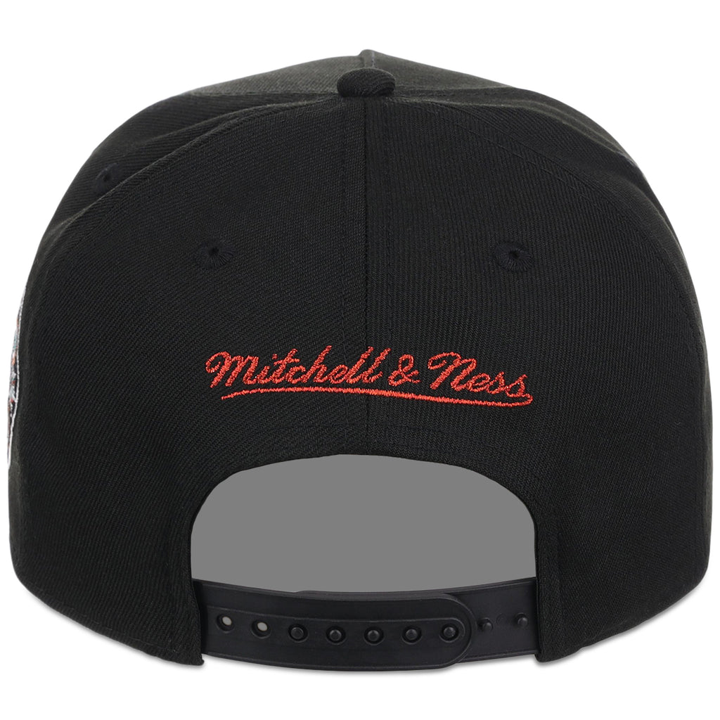 Vancouver Grizzlies NBA Heavy Metal HWC Mitchell & Ness Pro Pinch – 7