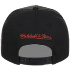 Vancouver Grizzlies NBA Heavy Metal HWC Mitchell & Ness Pro Pinch – 7