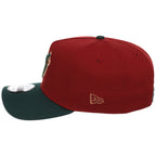 Toronto Blue Jays MLB Terra Verde New Era 9FORTY