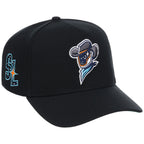 Sugar Land Space Cowboys Field Club Minor League Monday Black OTC A-Frame